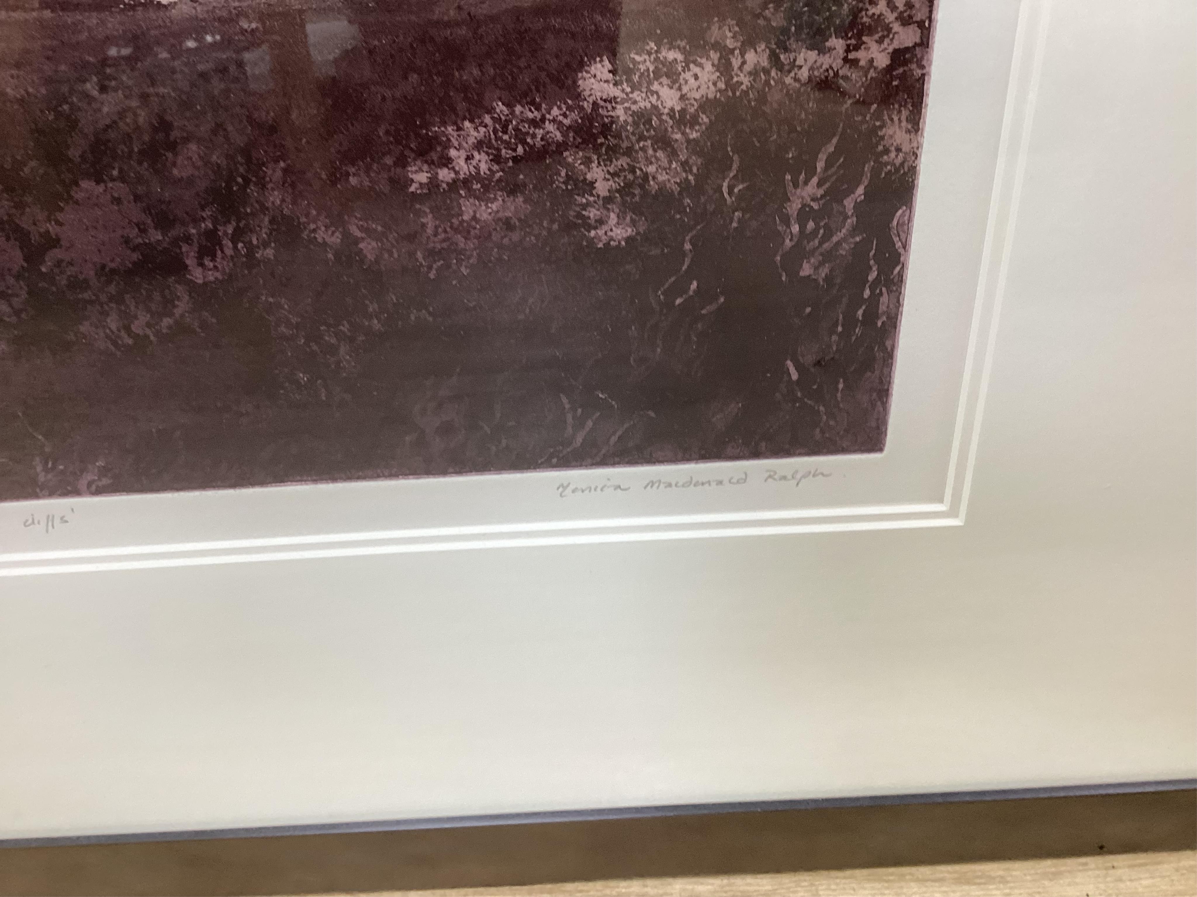 Monica Macdonald Ralph (contemporary), 'Burnished Cliffs', signed in pencil, limited edition 14/15, etching with aquatint, 33 x 51cm